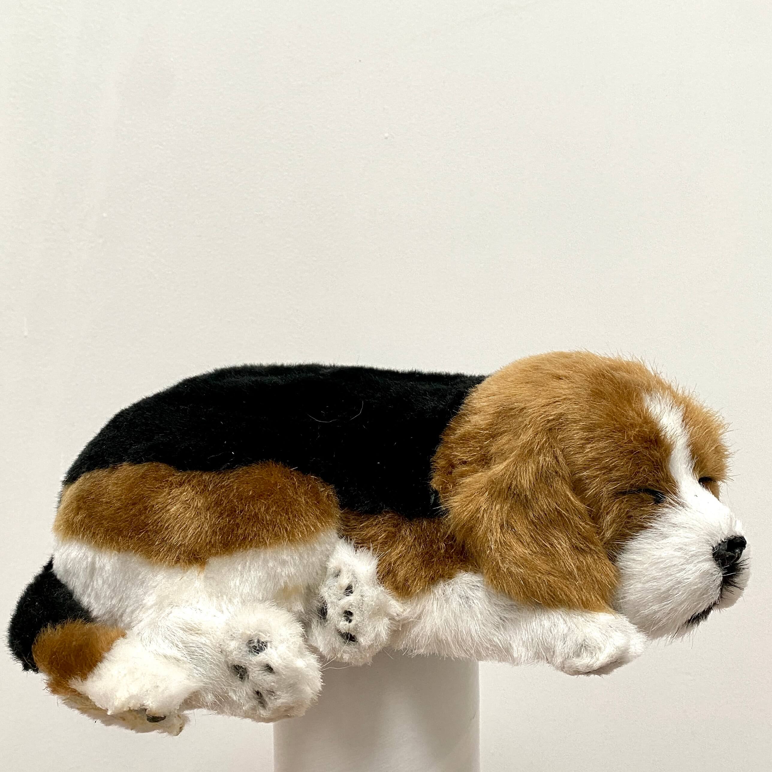 Puppy stuffed animal Toy